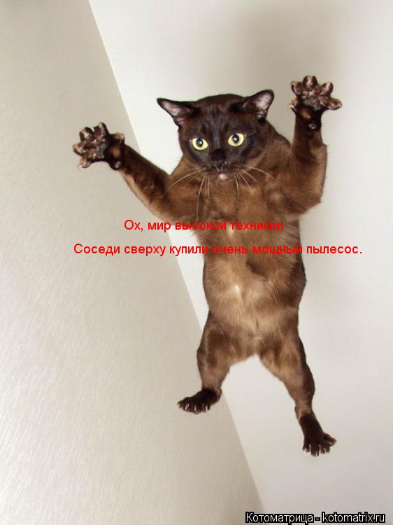 Ох, мир высокой техникии Соседи сверху купили очень мощный пылесос.... Котоматрица: Ох, мир высокой техникии Соседи сверху купили очень мощный пылесос.