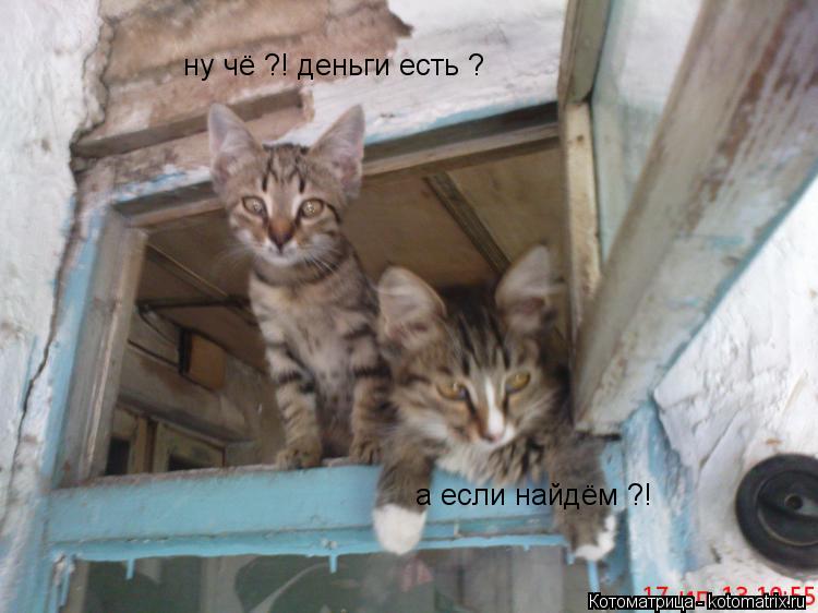 ну чё ?! деньги есть ? а если найдём ?!... Котоматрица: ну чё ?! деньги есть ? а если найдём ?!