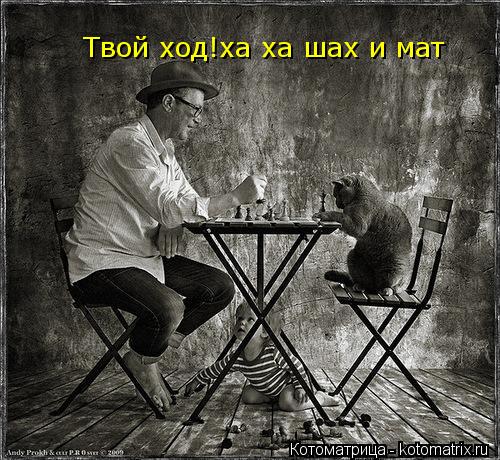 Твой ход!ха ха шах и мат... Котоматрица: Твой ход!ха ха шах и мат