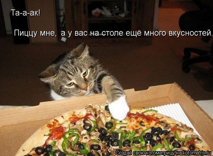 Та-а-ак! Пиццу мне, а у вас на столе ещё много вкусностей.... Котоматрица: Та-а-ак! Пиццу мне, а у вас на столе ещё много вкусностей.