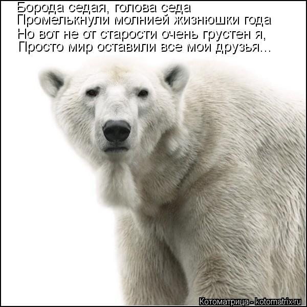 Борода седая, голова седа Промелькнули молнией жизнюшки года Но вот не от старости очень грустен я, П... Котоматрица: Борода седая, голова седа Промелькнули молнией жизнюшки года Но вот не от старости очень грустен я, Просто мир оставили все мои друзья...