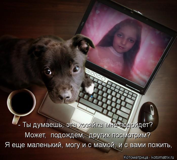 - Ты думаешь, эта хозяйка мне подойдет? Может, подождем, других посмотрим? Я еще маленький, могу и ... Котоматрица: - Ты думаешь, эта хозяйка мне подойдет? Может, подождем, других посмотрим? Я еще маленький, могу и с мамой, и с вами пожить,