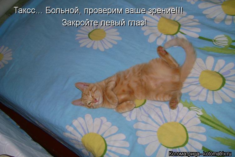Таксс... Больной, проверим ваше зрение!!! Закройте левый глаз!... Котоматрица: Таксс... Больной, проверим ваше зрение!!! Закройте левый глаз!