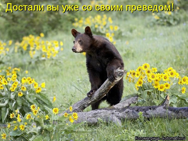 Достали вы уже со своим преведом!... Котоматрица: Достали вы уже со своим преведом!