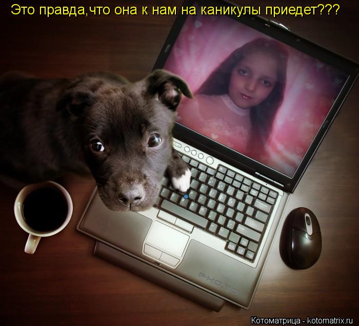Это правдa,что она к нам на каникулы приедет???... Котоматрица: Это правдa,что она к нам на каникулы приедет???
