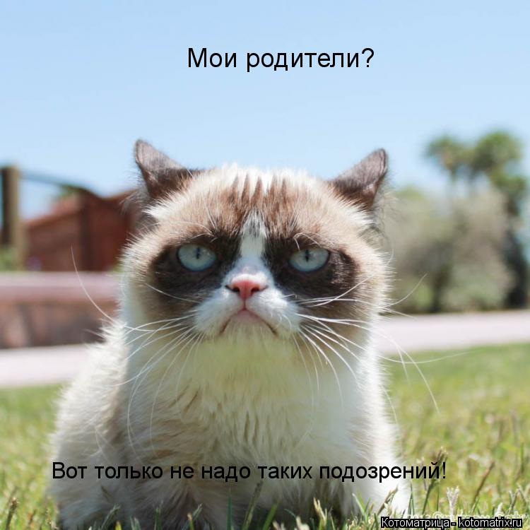 Мои родители? Вот только не надо таких подозрений!... Котоматрица: Мои родители? Вот только не надо таких подозрений!