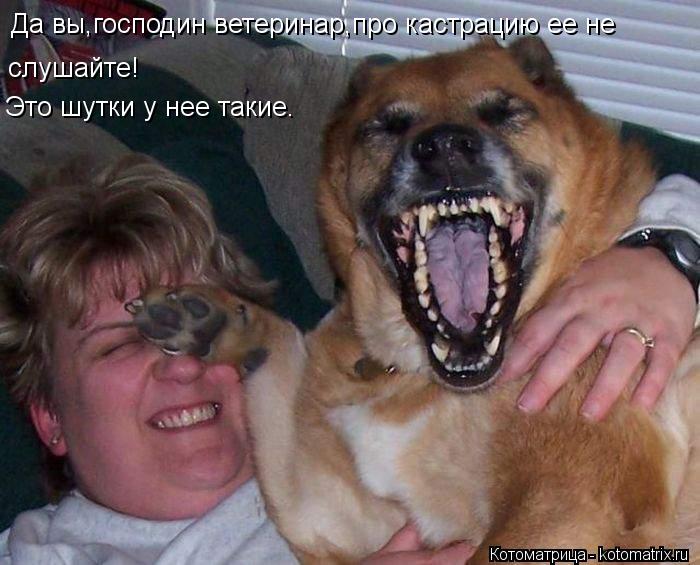 Да вы,господин ветеринар,про кастрацию ее не слушайте! Это шутки у нее такие.... Котоматрица: Да вы,господин ветеринар,про кастрацию ее не слушайте! Это шутки у нее такие.
