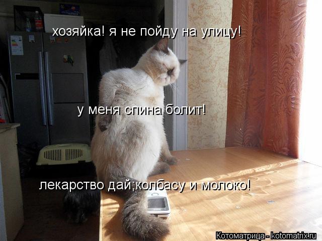 хозяйка! я не пойду на улицу! хозяйка! я не пойду на улицу! у меня спина болит! лекарство дай;колбасу... Котоматрица: хозяйка! я не пойду на улицу! хозяйка! я не пойду на улицу! у меня спина болит! лекарство дай;колбасу и молоко!