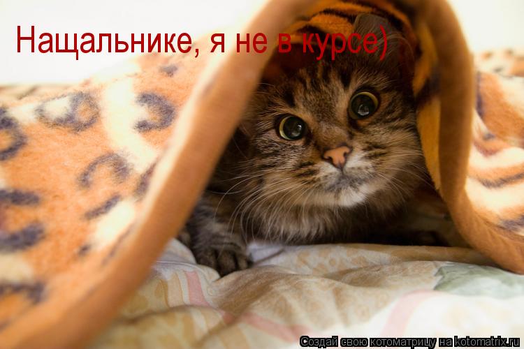 http://kotomatrix.ru/images/lolz/2013/07/19/kotomatritsa_-m.jpg