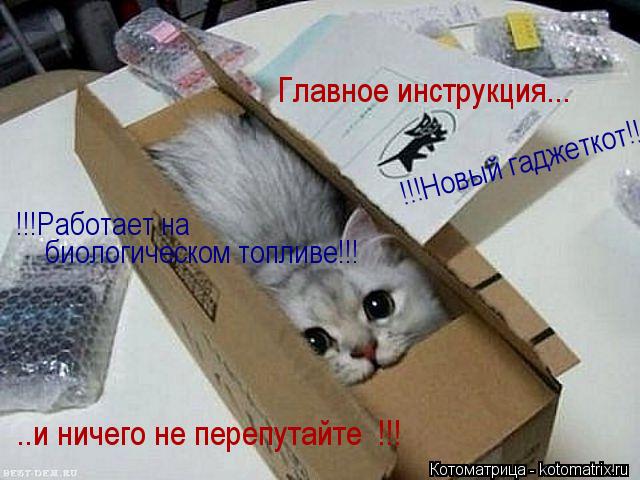Главное инструкция... ..и ничего не перепутайте !!! !!!Новый гаджеткот!!! !!!Работает на биологическ... Котоматрица: Главное инструкция... ..и ничего не перепутайте !!! !!!Новый гаджеткот!!! !!!Работает на биологическом топливе!!!
