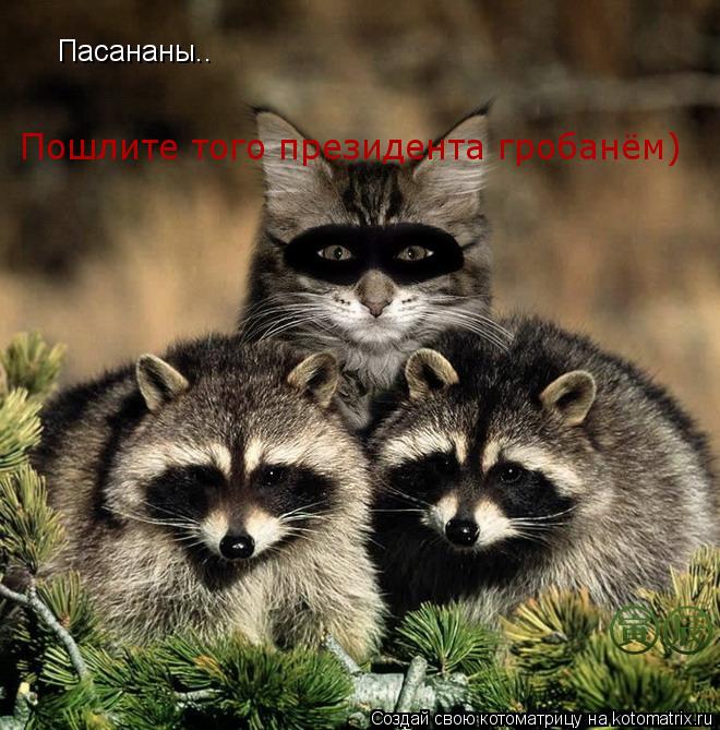 Пасананы.. Пошлите того президента гробанём)... Котоматрица: Пасананы.. Пошлите того президента гробанём)