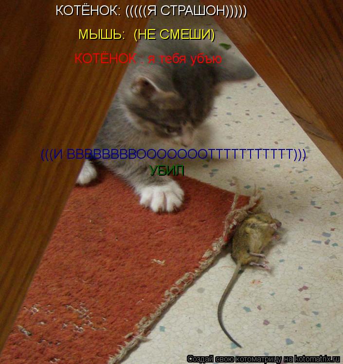(((И ВВВВВВВВОООООООТТТТТТТТТТТ))) МЫШЬ: (НЕ СМЕШИ) КОТЁНОК: (((((Я СТРАШОН))))) КОТЁНОК : я тебя уб... Котоматрица: (((И ВВВВВВВВОООООООТТТТТТТТТТТ))) МЫШЬ: (НЕ СМЕШИ) КОТЁНОК: (((((Я СТРАШОН))))) КОТЁНОК : я тебя убъю УБИЛ