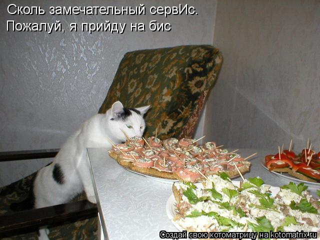 Сколь замечательный сервИс. Пожалуй, я прийду на бис... Котоматрица: Сколь замечательный сервИс. Пожалуй, я прийду на бис
