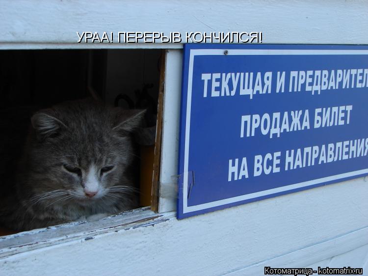 УРАА! ПЕРЕРЫВ КОНЧИЛСЯ!... Котоматрица: УРАА! ПЕРЕРЫВ КОНЧИЛСЯ!