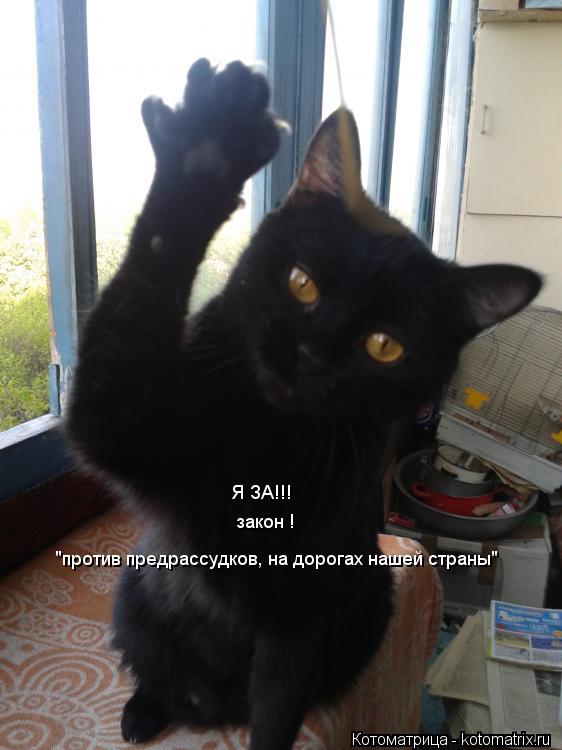 Я ЗА!!! закон ! "против предрассудков, на дорогах нашей страны"... Котоматрица: Я ЗА!!! закон ! "против предрассудков, на дорогах нашей страны"