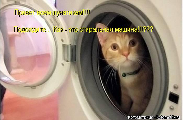 Привет всем лунатикам!!!! Подождите... Как - это стиральная машина!!!???... Котоматрица: Привет всем лунатикам!!!! Подождите... Как - это стиральная машина!!!???