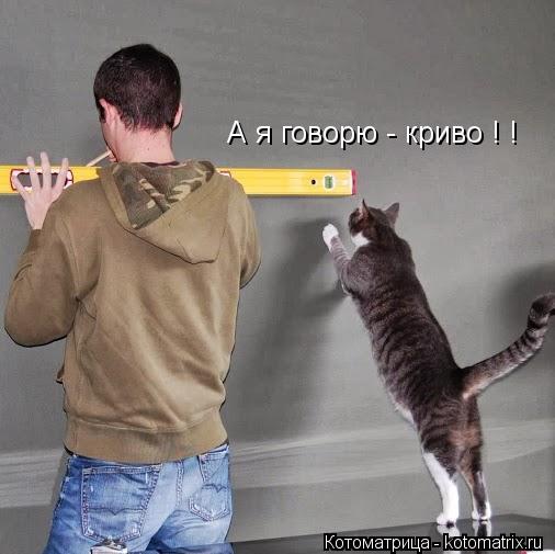 А я говорю - криво ! !... Котоматрица: А я говорю - криво ! !