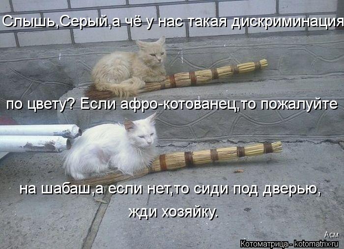 Слышь,Серый,а чё у нас такая дискриминация по цвету? Если афро-котованец,то пожалуйте на шабаш,а есл... Котоматрица: Слышь,Серый,а чё у нас такая дискриминация по цвету? Если афро-котованец,то пожалуйте на шабаш,а если нет,то сиди под дверью, жди хозяйку. Ас