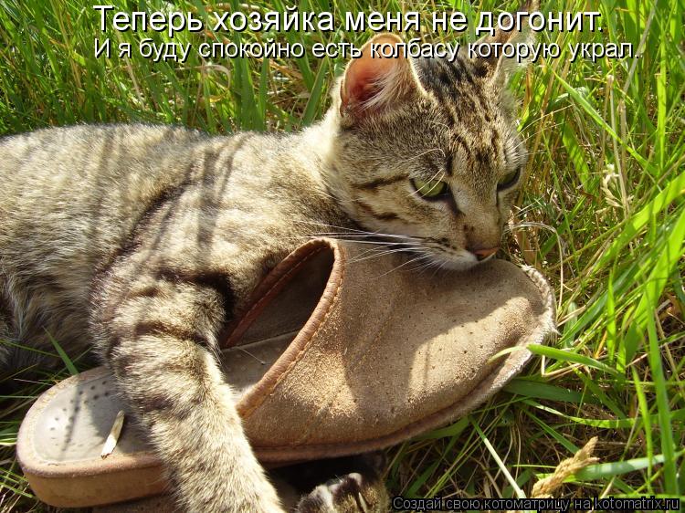 Теперь хозяйка меня не догонит. И я буду спокойно есть колбасу которую украл.... Котоматрица: Теперь хозяйка меня не догонит. И я буду спокойно есть колбасу которую украл.