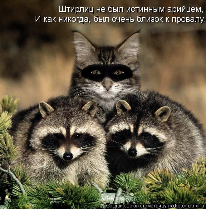 Штирлиц не был истинным арийцем, И как никогда, был очень близок к провалу.... Котоматрица: Штирлиц не был истинным арийцем, И как никогда, был очень близок к провалу.