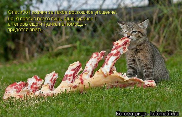 но, я просил всего лишь один кусочек ! а теперь еще и Тузика на помощь - придется звать... Спасибо ! ... Котоматрица: но, я просил всего лишь один кусочек ! а теперь еще и Тузика на помощь - придется звать... Спасибо ! хозяин за такое роскошное угощение,
