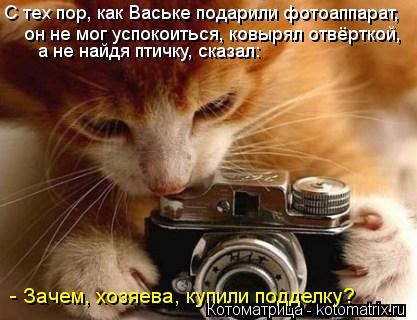 С тех пор, как Ваське подарили фотоаппарат, он не мог успокоиться, ковырял отвёрткой, а не найдя птич... Котоматрица: С тех пор, как Ваське подарили фотоаппарат, он не мог успокоиться, ковырял отвёрткой, а не найдя птичку, сказал: - Зачем, хозяева, купили подде