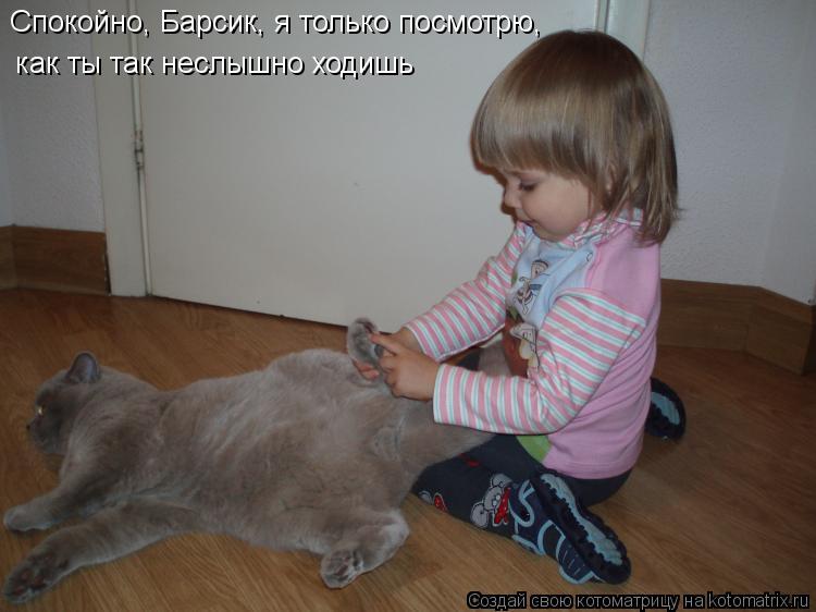 Спокойно, Барсик, я только посмотрю, как ты так неслышно ходишь... Котоматрица: Спокойно, Барсик, я только посмотрю, как ты так неслышно ходишь