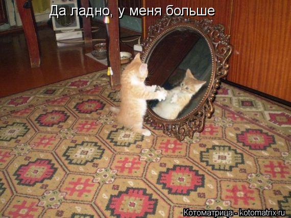 Да ладно, у меня больше... Котоматрица: Да ладно, у меня больше