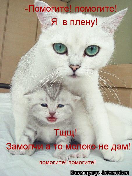 -Помогите! помогите! Я в плену! Тщщ! Замолчи а то молоко не дам! помогите! помогите!... Котоматрица: -Помогите! помогите! Я в плену! Тщщ! Замолчи а то молоко не дам! помогите! помогите!