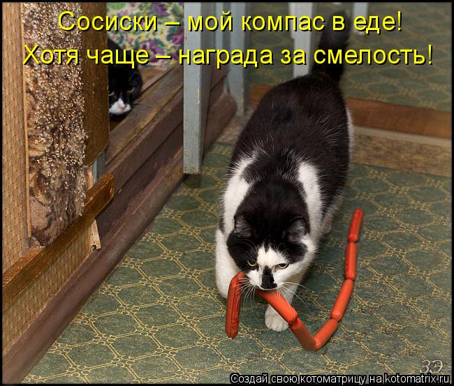 Сосиски – мой компас в еде! Хотя чаще – награда за смелость!... Котоматрица: Сосиски – мой компас в еде! Хотя чаще – награда за смелость!