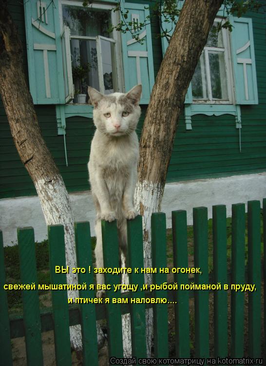 ВЫ это ! заходите к нам на огонек, свежей мышатиной я вас угощу ,и рыбой пойманой в пруду, и птичек я... Котоматрица: ВЫ это ! заходите к нам на огонек, свежей мышатиной я вас угощу ,и рыбой пойманой в пруду, и птичек я вам наловлю....