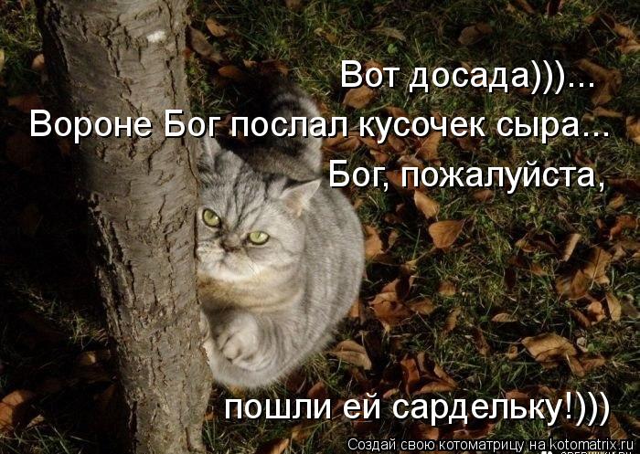 Котоматрица: Вот досада)))... Вороне Бог послал кусочек сыра... Бог, пожалуйста,  пошли ей сардельку!)))