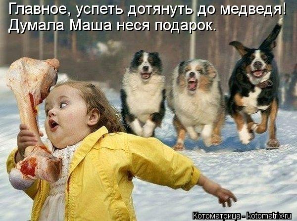 Главное, успеть дотянуть до медведя! Думала Маша неся подарок.... Котоматрица: Главное, успеть дотянуть до медведя! Думала Маша неся подарок.