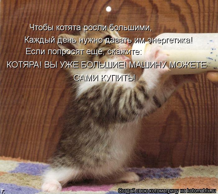 Чтобы котята росли большими, Каждый день нужно давать им энергетика! Если попросят ещё, скажите: КОТЯ... Котоматрица: Чтобы котята росли большими, Каждый день нужно давать им энергетика! Если попросят ещё, скажите: КОТЯРА! ВЫ УЖЕ БОЛЬШИЕ! МАШИНУ МОЖЕТЕ САМИ