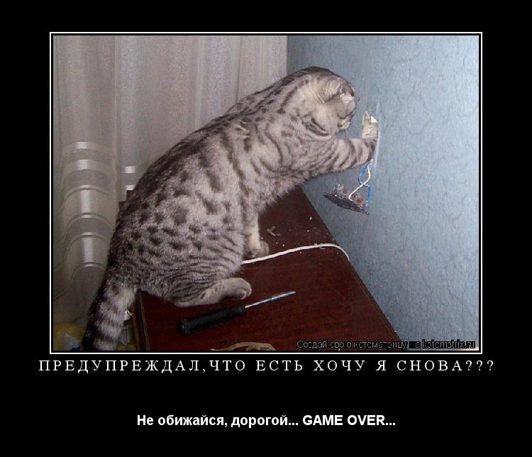 ПРЕДУПРЕЖДАЛ,ЧТО ЕСТЬ ХОЧУ Я СНОВА??? Не обижайся, дорогой... GAME OVER...... Котоматрица: ПРЕДУПРЕЖДАЛ,ЧТО ЕСТЬ ХОЧУ Я СНОВА??? Не обижайся, дорогой... GAME OVER...