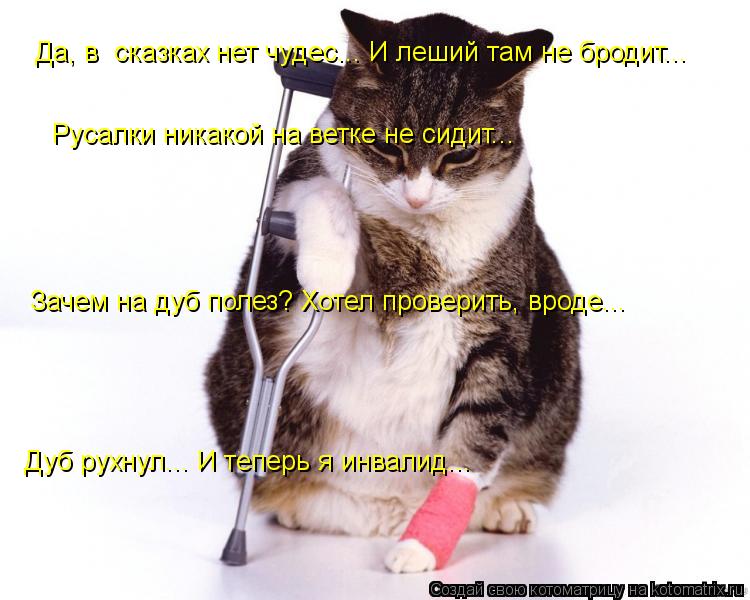 Да, в сказках нет чудес... И леший там не бродит... Зачем на дуб полез? Хотел проверить, вроде... ... Котоматрица: Да, в сказках нет чудес... И леший там не бродит... Зачем на дуб полез? Хотел проверить, вроде... Русалки никакой на ветке не сидит... Дуб рухнул.