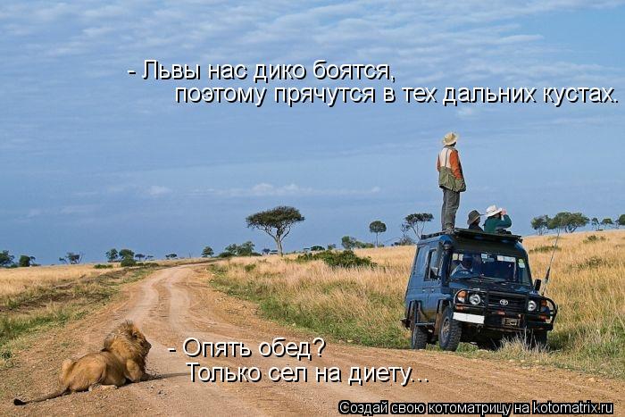 поэтому прячутся в тех дальних кустах. - Львы нас дико боятся, - Опять обед? Только сел на диету...... Котоматрица: поэтому прячутся в тех дальних кустах. - Львы нас дико боятся, - Опять обед? Только сел на диету...