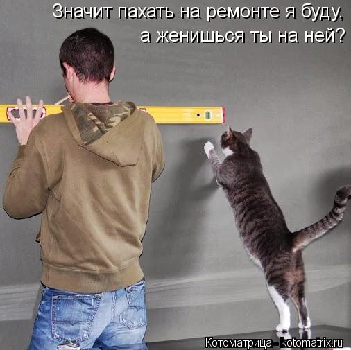 Значит пахать на ремонте я буду, а женишься ты на ней?... Котоматрица: Значит пахать на ремонте я буду, а женишься ты на ней?