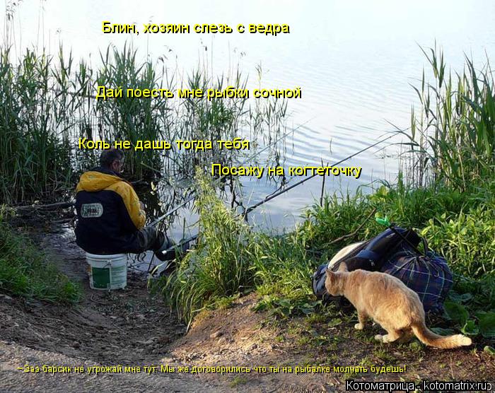 Блин, хозяин слезь с ведра Дай поесть мне рыбки сочной Коль не дашь тогда тебя Посажу на когтеточку ~... Котоматрица: Блин, хозяин слезь с ведра Дай поесть мне рыбки сочной Коль не дашь тогда тебя Посажу на когтеточку ~Эээ барсик не угрожай мне тут. Мы же дого
