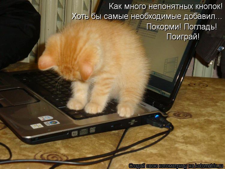 Как много непонятных кнопок! Хоть бы самые необходимые добавил... Покорми! Погладь! Поиграй!... Котоматрица: Как много непонятных кнопок! Хоть бы самые необходимые добавил... Покорми! Погладь! Поиграй!