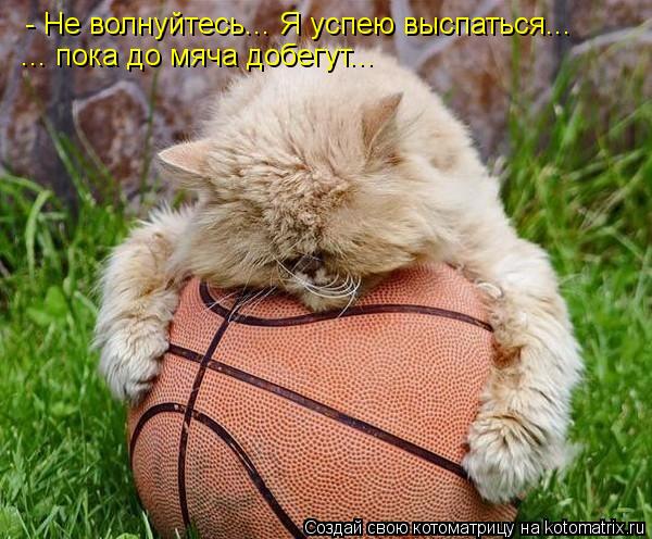 - Не волнуйтесь... Я успею выспаться... ... пока до мяча добегут...... Котоматрица: - Не волнуйтесь... Я успею выспаться... ... пока до мяча добегут...