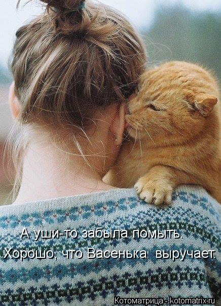 А уши-то забыла помыть. Хорошо, что Васенька выручает.... Котоматрица: А уши-то забыла помыть. Хорошо, что Васенька выручает.