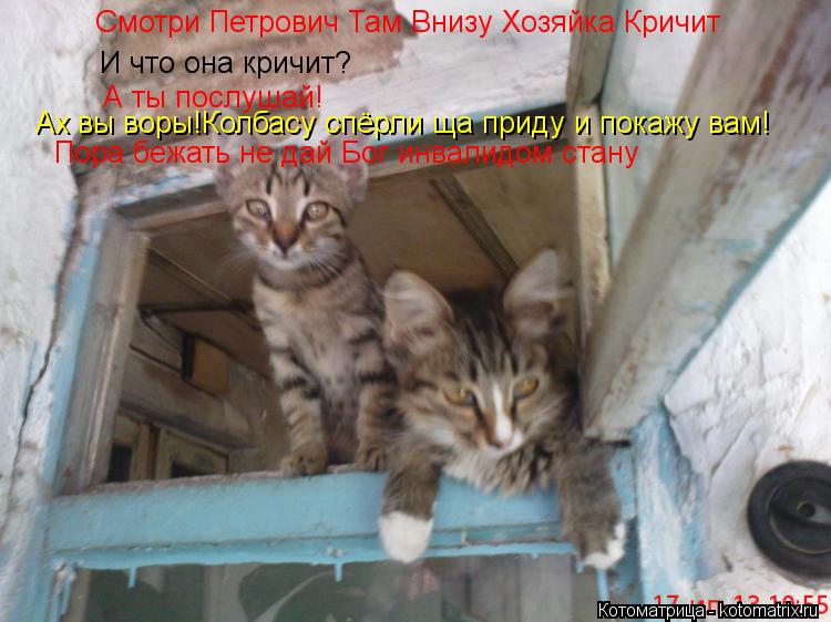 Смотри Петрович Там Внизу Хозяйка Кричит И что она кричит? А ты послушай! Ах вы воры!Колбасу спёрли щ... Котоматрица: Смотри Петрович Там Внизу Хозяйка Кричит И что она кричит? А ты послушай! Ах вы воры!Колбасу спёрли ща приду и покажу вам! Пора бежать не дай