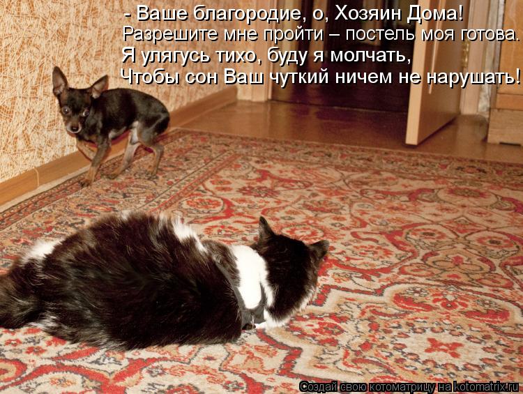 Разрешите мне пройти – постель моя готова. - Ваше благородие, о, Хозяин Дома! Я улягусь тихо, буду я ... Котоматрица: Разрешите мне пройти – постель моя готова. - Ваше благородие, о, Хозяин Дома! Я улягусь тихо, буду я молчать, Чтобы сон Ваш чуткий ничем не нар