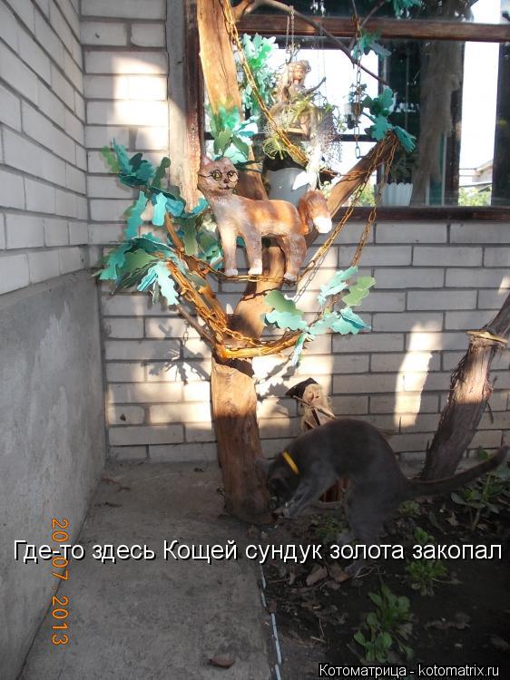 Где-то здесь Кощей сундук золота закопал... Котоматрица: Где-то здесь Кощей сундук золота закопал
