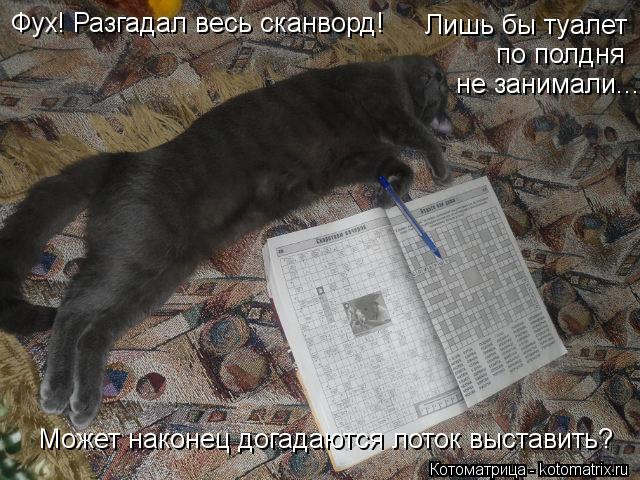 Фух! Разгадал весь сканворд! Лишь бы туалет по полдня не занимали... Может наконец догадаются лоток в... Котоматрица: Фух! Разгадал весь сканворд! Лишь бы туалет по полдня не занимали... Может наконец догадаются лоток выставить?