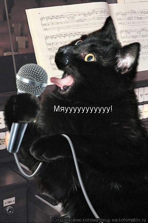 Мяууууууууууу!... Котоматрица: Мяууууууууууу!