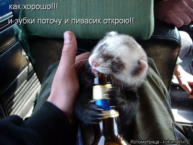 как хорошо!!! и зубки поточу и пивасик открою!!... Котоматрица: как хорошо!!! и зубки поточу и пивасик открою!!
