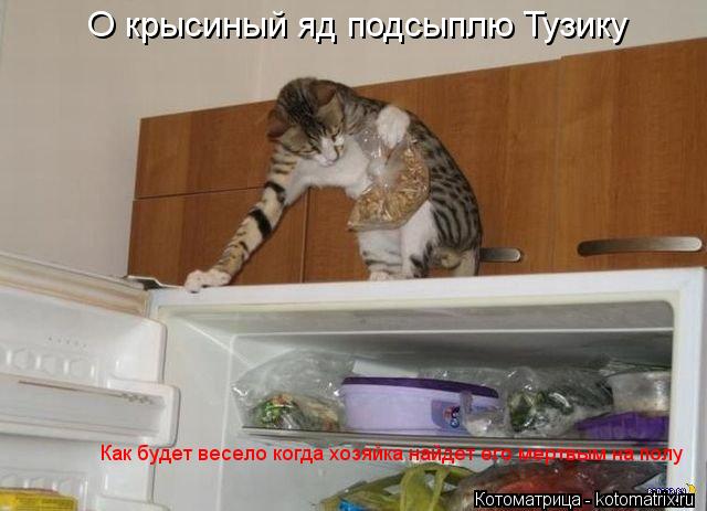 О крысиный яд подсыплю Тузику Как будет весело когда хозяйка найдет его мертвым на полу... Котоматрица: О крысиный яд подсыплю Тузику Как будет весело когда хозяйка найдет его мертвым на полу