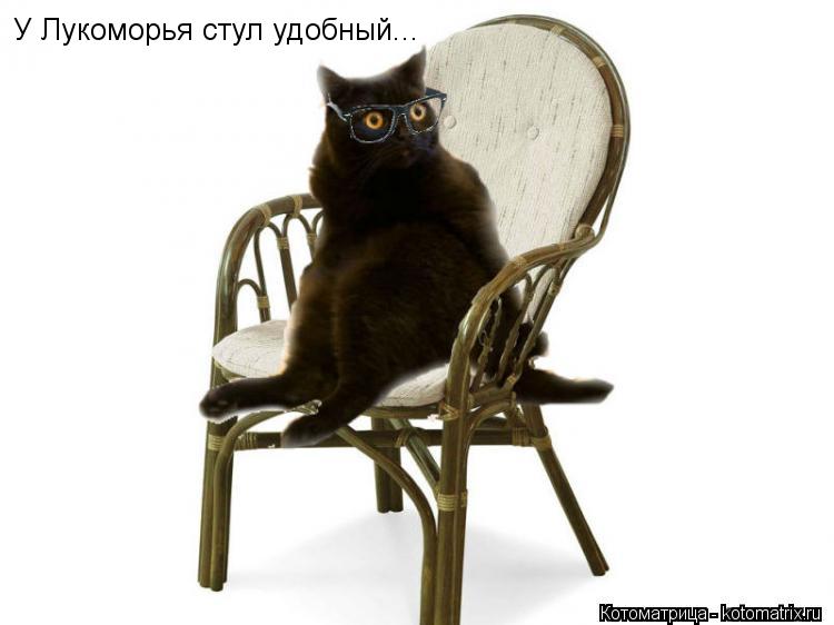 У Лукоморья стул удобный...... Котоматрица: У Лукоморья стул удобный...